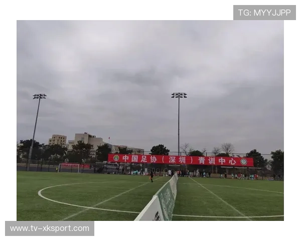 中国足球青训基地建设与管理创新模式，国家足球青训基地