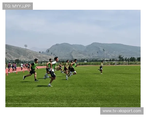 爱尔兰七人制橄榄球攻势猛烈挑战对手防线，橄榄球爱尔兰队