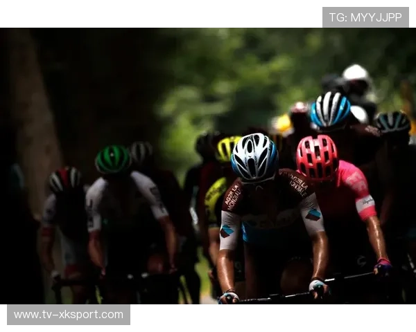 欧洲环法：丹麦新星崛起，骑行激情四射！，丹麦 环保