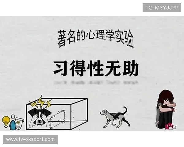 资深选手的心理调节：他是如何在连败后迅速重拾竞技信心的